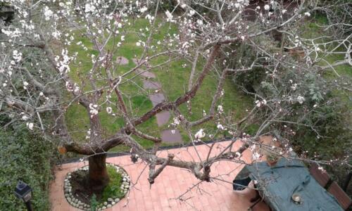 IMG-20160225-WA0002