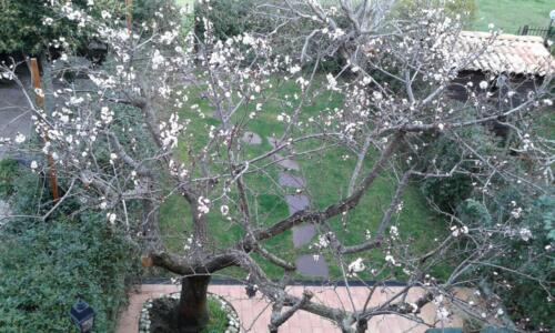 IMG-20160225-WA0005